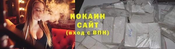 мяу мяу мука Аркадак