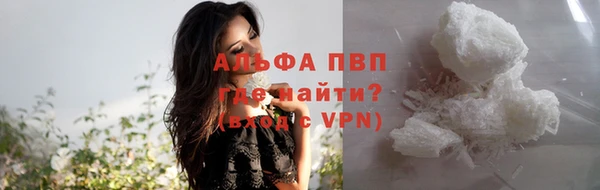 спайс Арсеньев