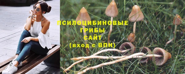 гидропоника Балабаново