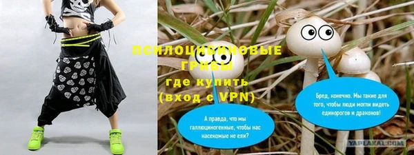 спайс Арсеньев