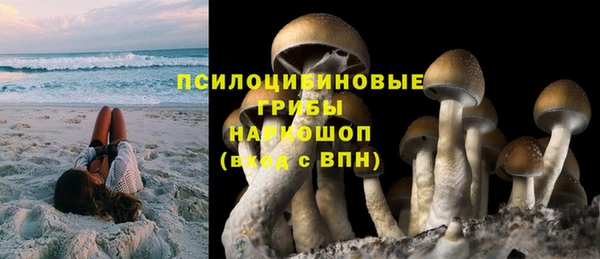 спайс Арсеньев