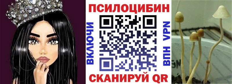 omg ссылка  Пустошка  Псилоцибиновые грибы GOLDEN TEACHER 